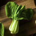 Bok Choy